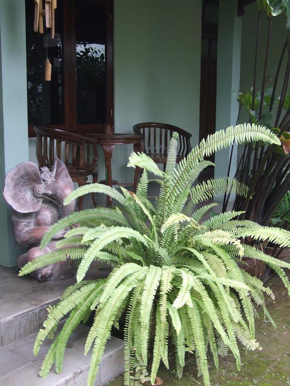 Rumah Sawah Ngabean エクステリア 写真